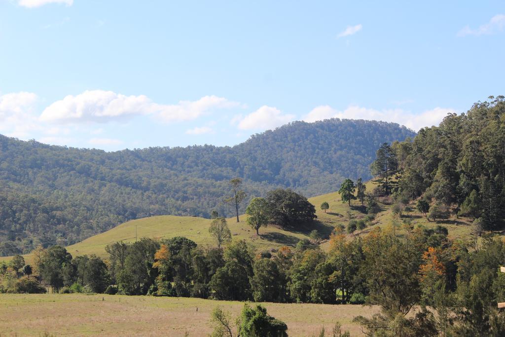 Greenlee Cottages Canungra Esterno foto